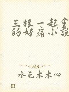 三根一起会坏掉的好痛小说