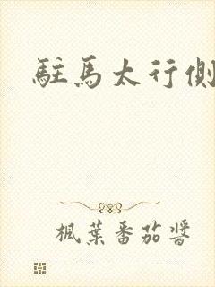 驻马太行侧封面