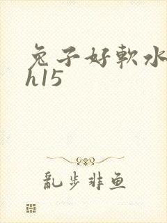 兔子好软水好多h15封面