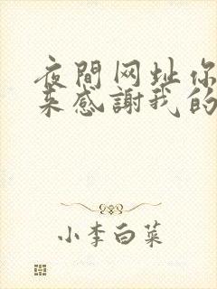 夜间网址你会回来感谢我的封面