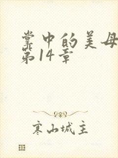 掌中的美母版主第14章封面