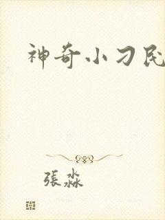 神奇小刁民
