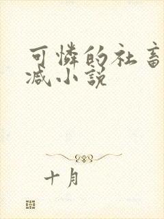 可怜的社畜无删减小说