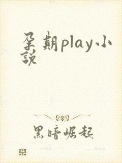 孕期play小说