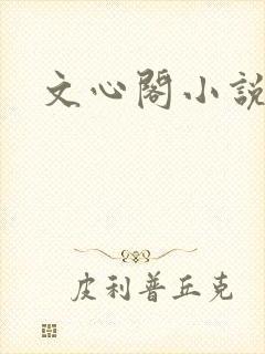 文心阁小说封面