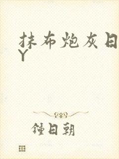 抹布炮灰日记BY封面