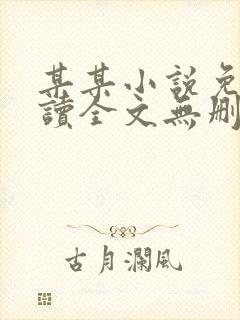 某某小说免费阅读全文无删减封面