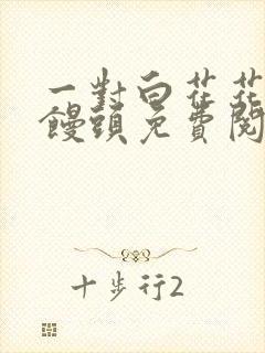 一对白花花的大馒头免费阅读