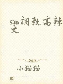 sm调教高辣h文