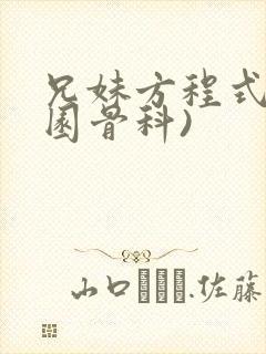 兄妹方程式(校园骨科)