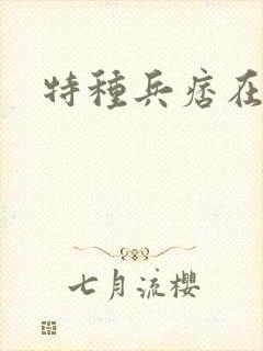 特种兵痞在都市