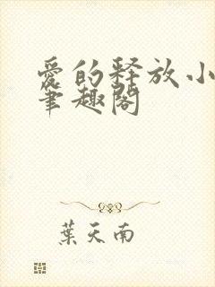 爱的释放小说 笔趣阁