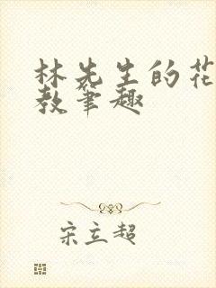 林先生的花式管教笔趣