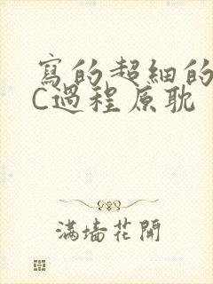 写的超细的多肉C过程原耽