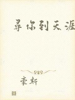 寻你到天涯