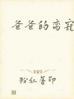 爸爸的脔宠封面