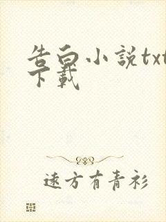 告白小说txt下载