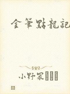 金笔点龙记