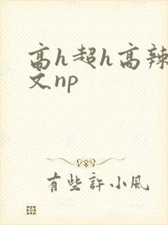 高h超h高辣h文np
