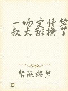 一吻定情禁欲小叔太难撩了