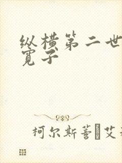 纵横第二世界 宽子