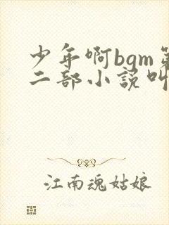 少年啊bgm第二部小说叫什么
