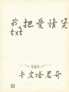 我把爱情煲成汤txt封面