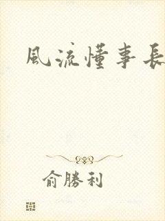 风流懂事长封面