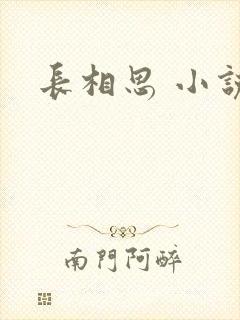 长相思 小说