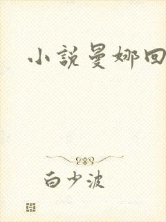 小说曼娜回忆录