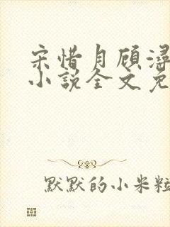 宋惜月顾浔渊的小说全文免费阅读