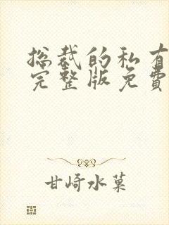 总裁的私有宝贝完整版免费阅读