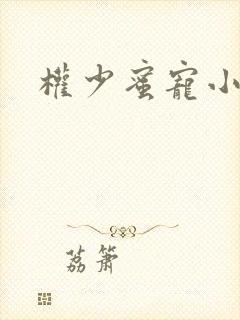 权少蜜宠小娇妻