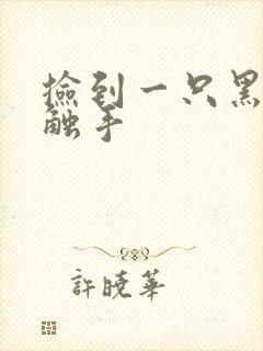 捡到一只黑心小触手