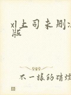 xl上司未删减版