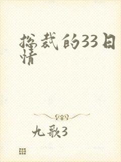 总裁的33日索情