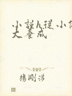 小说h从小做到大养成