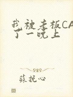 我被老板CAO了一晚上