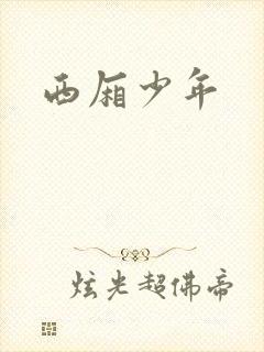 西厢少年封面