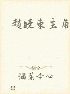 赵晓东主角小说