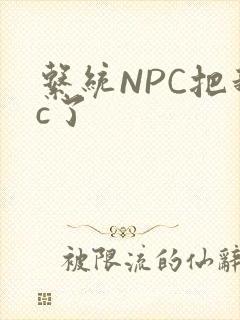 系统NPC把我c了