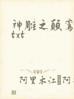 神雕之颠鸾倒凤txt