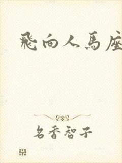 飞向人马座封面