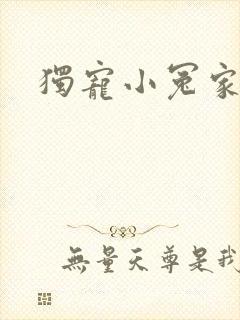 独宠小冤家封面