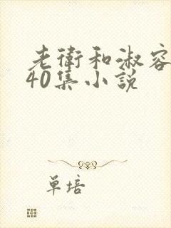 老卫和淑容1-40集小说