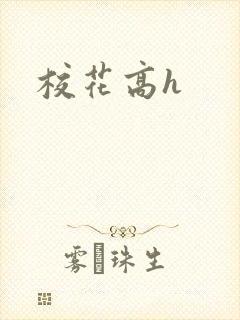 校花高h