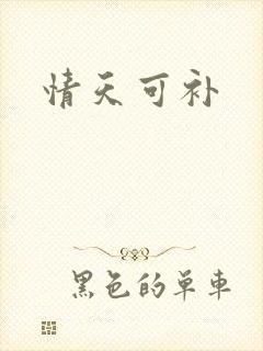 情天可补