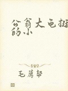 公翁大龟挺进我的小封面