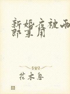 新婚夜被两个伴郎享用