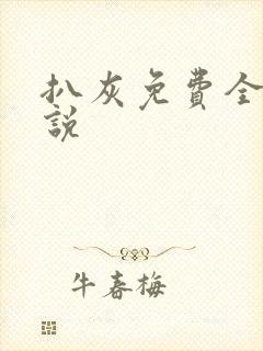 扒灰免费全本小说封面